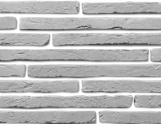 Цвет Борнео 490