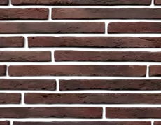 Цвет Борнео 494