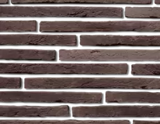 Цвет Борнео 496