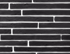 Цвет Борнео 498
