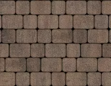 Цвет Шелковица